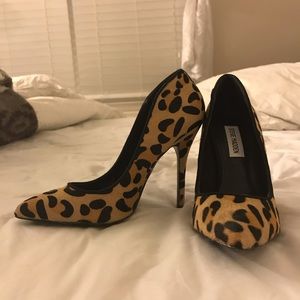 Steve Madden Galleryl pump - leopard/animal print